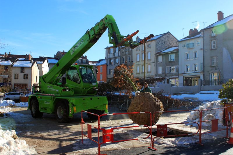 fournitures et plantations d'arbres