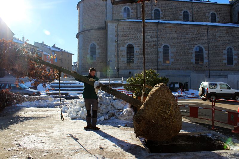 fournitures et plantations d'arbres