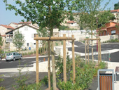 Création de parc et jardin sur la commune du Puy-en-Velay