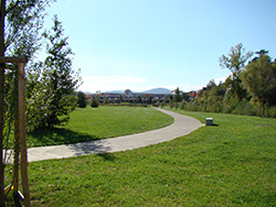 Aperçu d'un parc après tonte